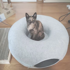 Cat resting in the cosy central nest of a round felt cat tunnel bed.