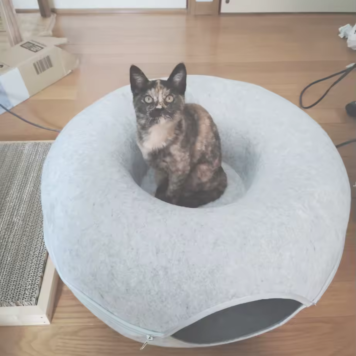 Cat resting in the cosy central nest of a round felt cat tunnel bed.
