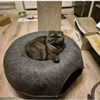 Cat lounging in the cosy central nest of a dark grey donut-shaped felt cat tunnel bed with a zippered entrance.