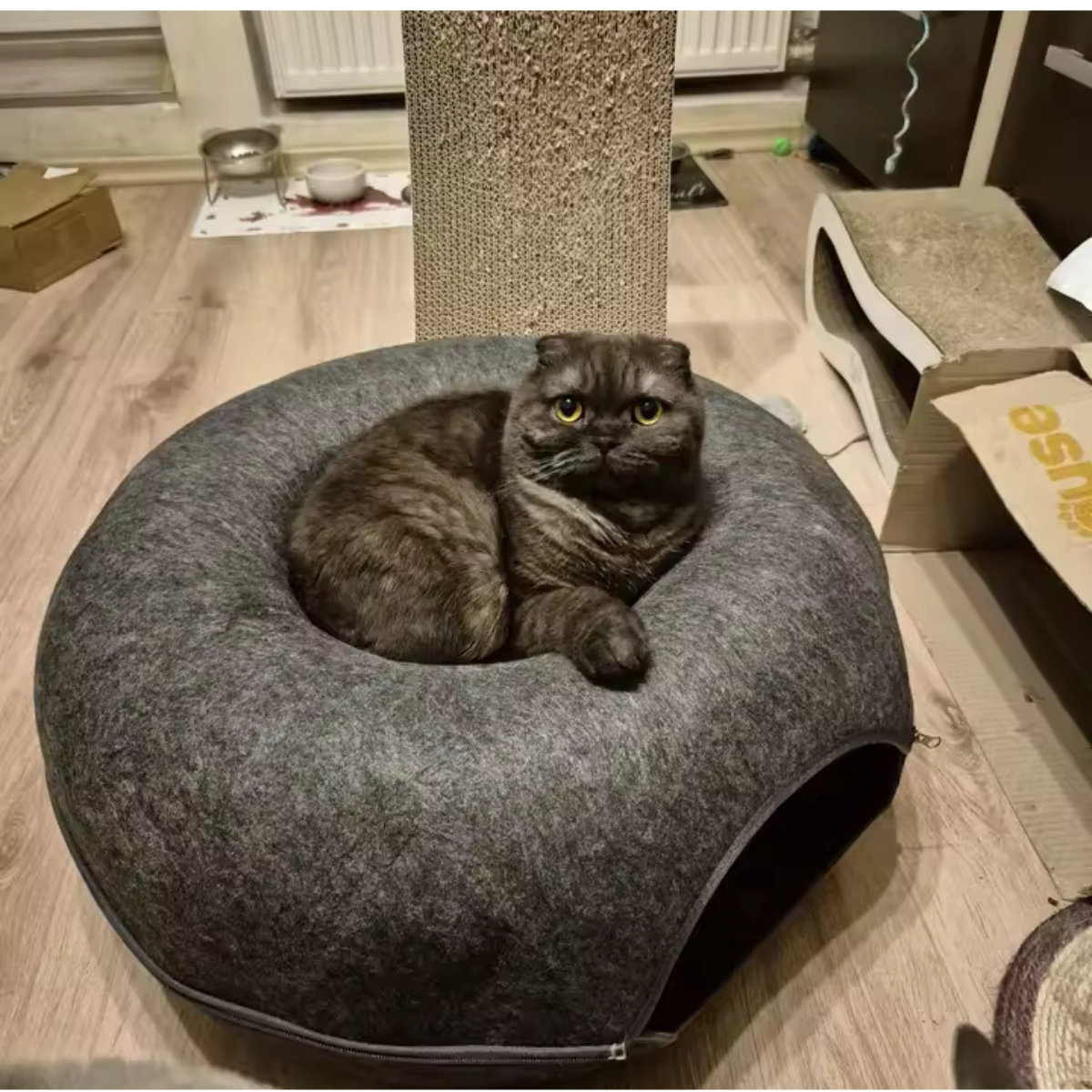 Cat lounging in the cosy central nest of a dark grey donut-shaped felt cat tunnel bed with a zippered entrance.