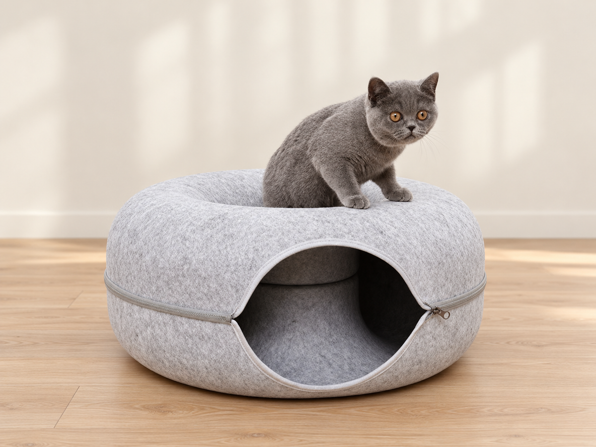 Gray cat sitting on a light gray felt donut tunnel bed with a zippered entrance.